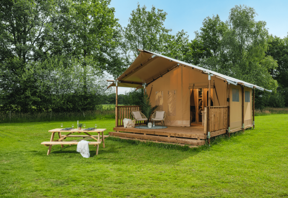 Glamp tent Basic safaritent op grasveld met houten veranda, ligstoelen en picknicktafel tussen bomen.