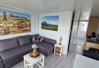 Living room of a houseboat at Marina Parcs Amsterdam with grey sofa, kitchen area and wall art.