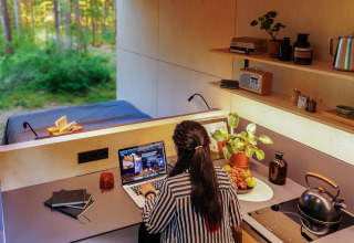Femme travaillant sur un ordinateur portable dans une tiny house au Holiday park Eigen Wijze, Pays-Bas.