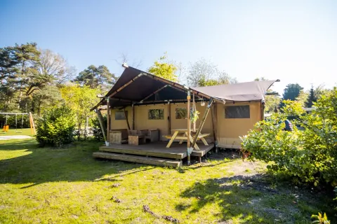 Tienda de safari de lujo con terraza de madera, mesas y bancos, rodeada de naturaleza verde.