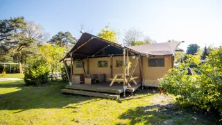 Luxus-Safari-Zelt mit Holzterrasse und Sitzbank inmitten grüner Natur bei sonnigem Wetter.