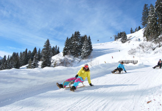 Mensen rodelen van een besneeuwde helling tussen dennenbomen met blauwe hemel bij een berglodge.