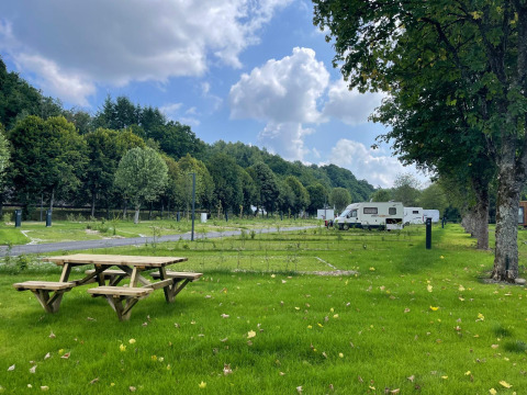 Grønt campingområde med picnicbord, træer og autocampere under en blå himmel ved Safari Tent.