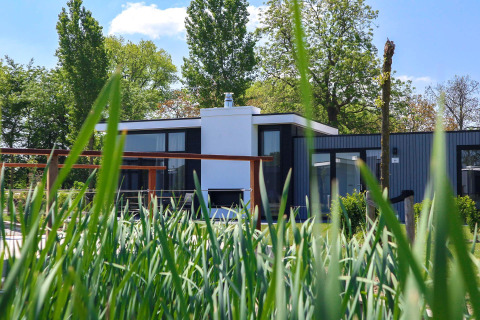 Moderne tiny house Cube Exclusive Plus gezien door hoog gras, met groene bomen en blauwe lucht op de achtergrond.
