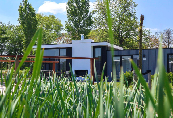 Modern tiny house Cube Exclusive Plus, viewed through tall grass with green trees and blue sky behind.