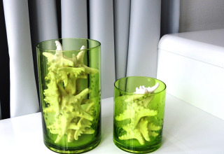 Twee groene glazen vazen met zeesterren erin, op een witte tafel voor lichte gordijnen in het interieur.