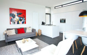 Moderne woonkamer en keuken in een tiny house op EuroParcs Bad Meersee, met opvallende koeienkunst.