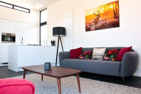 Modern living area in Cube Exclusive 4 tiny house at EuroParcs Bad Meersee, Netherlands, with sofa, art.