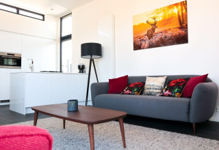 Moderne woonkamer en keuken in Cube Exclusive 4 tiny house bij EuroParcs Bad Meersee, met grijze bank.