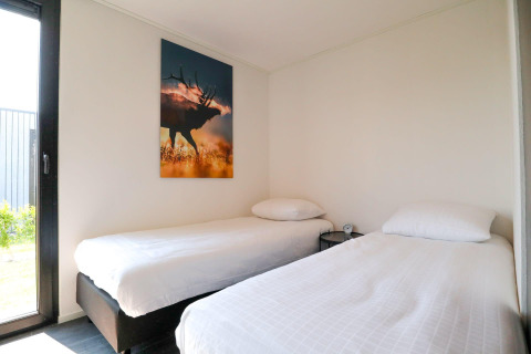 Moderne slaapkamer met twee eenpersoonsbedden, wit beddengoed, hertenfoto aan de muur en daglicht.