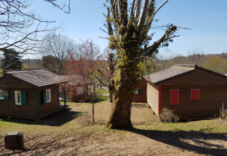Wooden cabins and large tree at Campsite Seasonova Lac de Bournazel, a holiday park in Nouvelle-Aquitaine, France.