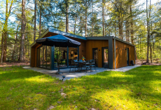 Moderne Zandborg Lodge i Holiday park De Wiltzangh, omringet af frodig skov og grønne områder.