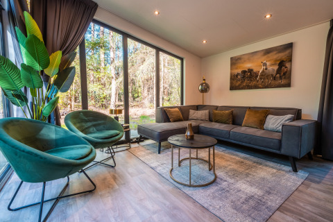 Modernes Wohnzimmer in der Zandborg Lodge im Ferienpark De Wiltzangh, Niederlande, mit Naturblick.