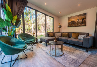 Salon moderne à Zandborg Lodge, De Wiltzangh, Pays-Bas, avec grandes fenêtres et vue sur la forêt environnante.