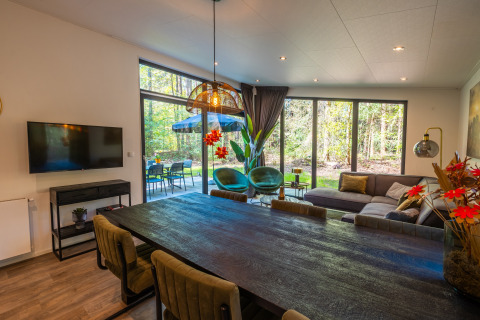 Modern living area at Zandborg Lodge, Holiday park De Wiltzangh, Netherlands, with large windows and forest view.