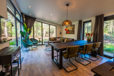 Zona living e pranzo moderna a Zandborg Lodge, De Wiltzangh, Paesi Bassi, con ampie finestre sul bosco.