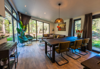 Zona living e pranzo moderna a Zandborg Lodge, De Wiltzangh, Paesi Bassi, con ampie finestre sul bosco.