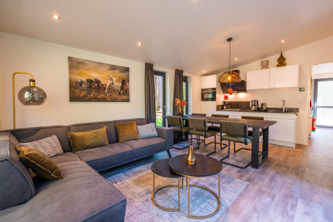 Living room and kitchen of Zandborg Lodge at Holiday park De Wiltzangh, Netherlands, modern cozy interior.