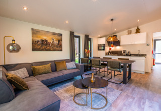 Living room and kitchen of Zandborg Lodge at Holiday park De Wiltzangh, Netherlands, modern cozy interior.