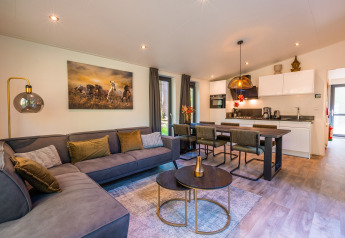 Soggiorno e cucina di Zandborg Lodge al Holiday park De Wiltzangh, Paesi Bassi, arredamento moderno e accogliente.