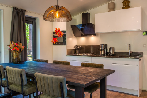 Cocina y comedor modernos en Zandborg Lodge en el parque vacacional De Wiltzangh, Países Bajos, con decoración elegante.