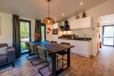 Moderne køkken og spisestue i Zandborg Lodge på Holiday park De Wiltzangh, med udsigt til naturen.