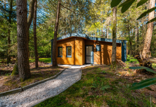 Zandborg Lodge med hot tub, en moderne træhytte omgivet af frodig skov, set fra en grussti i solskin.