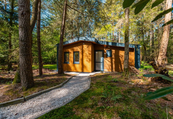 Zandborg Lodge with Hot Tub, a modern wooden cabin surrounded by lush green forest, viewed from a gravel path.