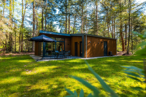 Zandborg Lodge in vakantiepark De Wiltzangh, Nederland, moderne lodge omringd door groene bomen.