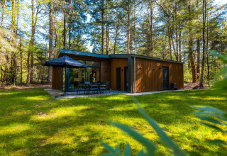 Zandborg Lodge ved De Wiltzangh-ferieparken i Holland, moderne hytte omgivet af grøn skov.