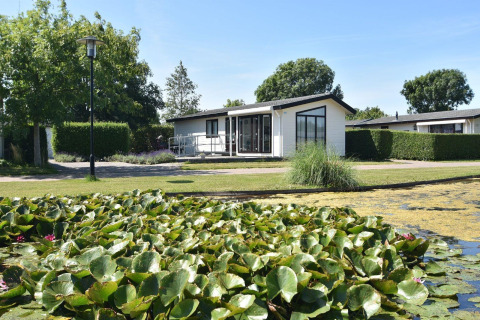 Et moderne sommerhus ved navn Comfort 4 personen MIVA med udsigt over en dam med åkander og grønne træer.