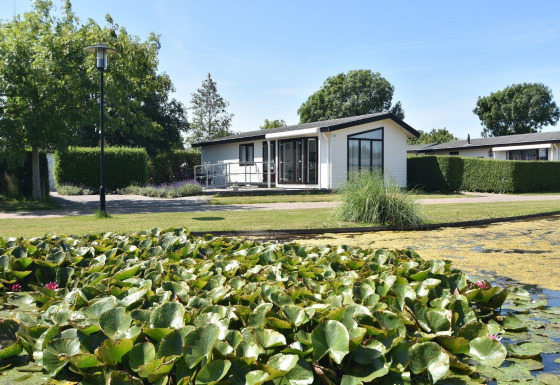 Et moderne sommerhus ved navn Comfort 4 personen MIVA med udsigt over en dam med åkander og grønne træer.
