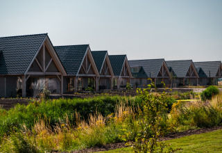 Række af ferieboliger med blå tage i grønne omgivelser i EuroParcs Cadzand-Bad, Zeeland, Holland.
