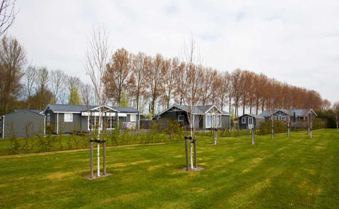 Fila de casas de vacaciones y césped verde en EuroParcs Bad Meersee, parque vacacional en Zelanda, Países Bajos.