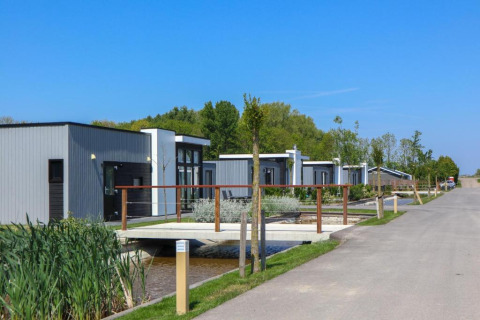 Cottages modernes au parc de vacances EuroParcs Bad Meersee à Zélande, Pays-Bas, entourés de verdure.