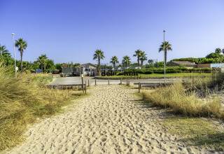 Entrance to Campsite del Mar in Catalonia, Spain, with sandy path, palm trees, and reception in summer.