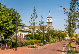 Gezellige straat vol bomen en bloemen richting een oud gebouw met toren en klok, onder een zonnige lucht.