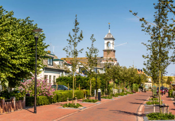 Schöne Straße mit Bäumen und Blumen vor historischen Gebäuden und einem markanten Uhrenturm im Sonnenschein.