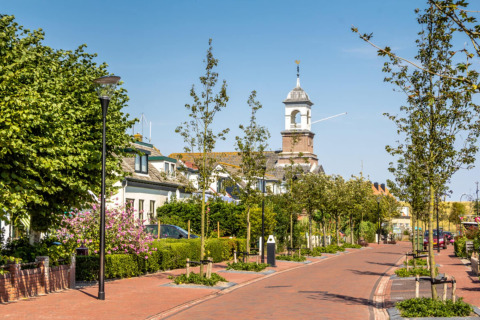 Gezellige straat vol bomen en bloemen richting een oud gebouw met toren en klok, onder een zonnige lucht.