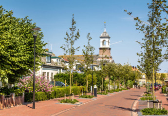 Schöne Straße mit Bäumen und Blumen vor historischen Gebäuden und einem markanten Uhrenturm im Sonnenschein.