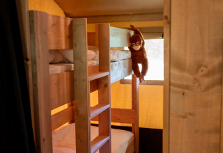 Innenansicht eines Safarizelts im Forest Lodge, Jocomo Parc, Belgien mit Etagenbetten und Affen-Plüschtier.