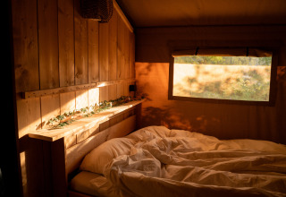 Safari tent at Jocomo Parc in Belgium featuring wood paneling, cozy bedding, and sunlit window.