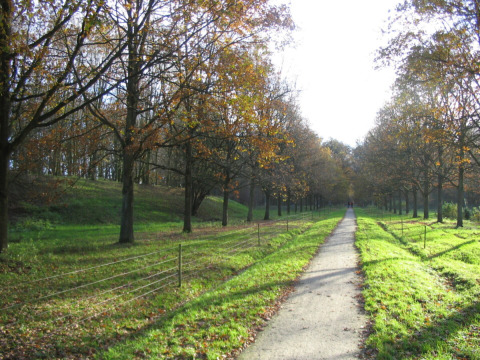 A sunlit path with green trees in the surroundings of Midwolda, Groningen, Netherlands, on a peaceful day.