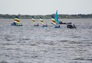 Colorful sailboats on the water near Midwolda, Groningen, Netherlands, with a green shoreline in the distance.