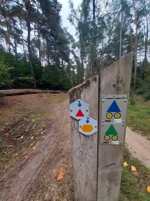 Trail signposts at a forest path near Lanaken, Belgium, showing hiking and biking routes among trees.