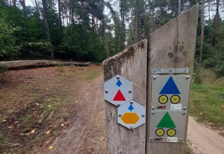 Segnaletica su sentiero forestale vicino a Lanaken, Belgio, per percorsi escursionistici e ciclabili.