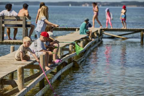 Børn og voksne fisker og nyder solen på en træbro ved vandet nær Tranekaer, Syddanmark, Danmark.