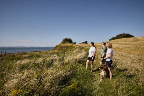 Trois personnes et un chien profitent du paysage côtier près de Tranekaer, dans le sud du Danemark.
