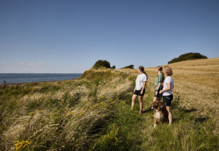 Three people and a dog enjoying a sunny day and beautiful coastal scenery near Tranekaer, Southern Denmark.