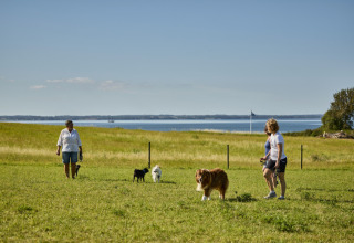 Persone passeggiano con i cani su un prato vicino a Tranekaer, Danimarca Meridionale, vista mare.